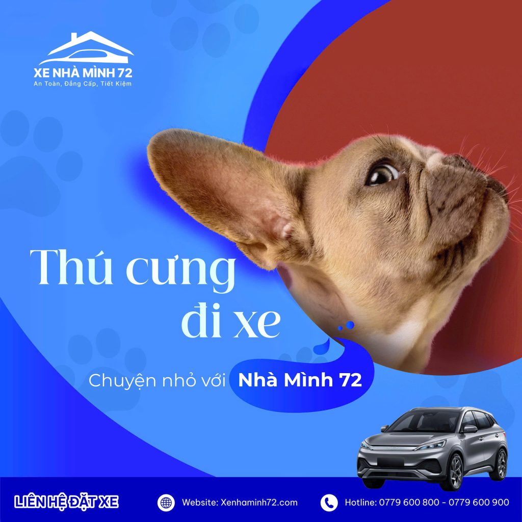 Thú Cưng Đi Xe Khách – Chuyện Nhỏ Với Xe Nhà Mình 72! 1 thú cưng đi xe khách